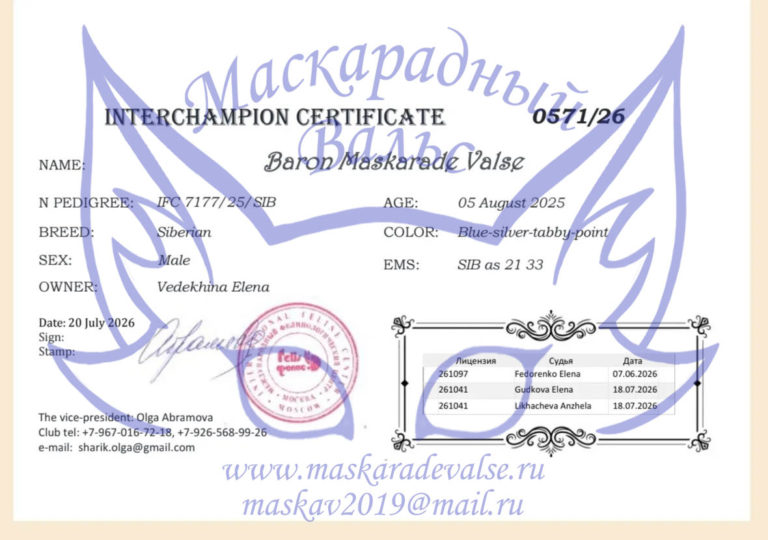 Baron Интерчемпион